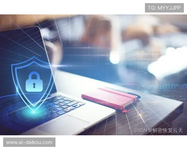 深入讨论凯时网页版的安全性与数据保护措施